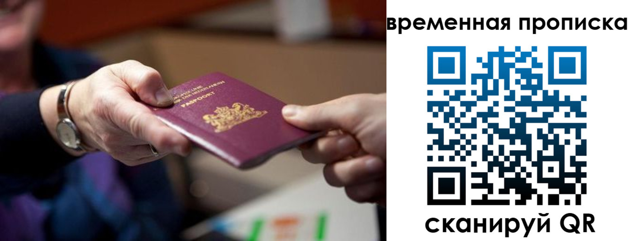 временная регистрация для всех в Мытищах