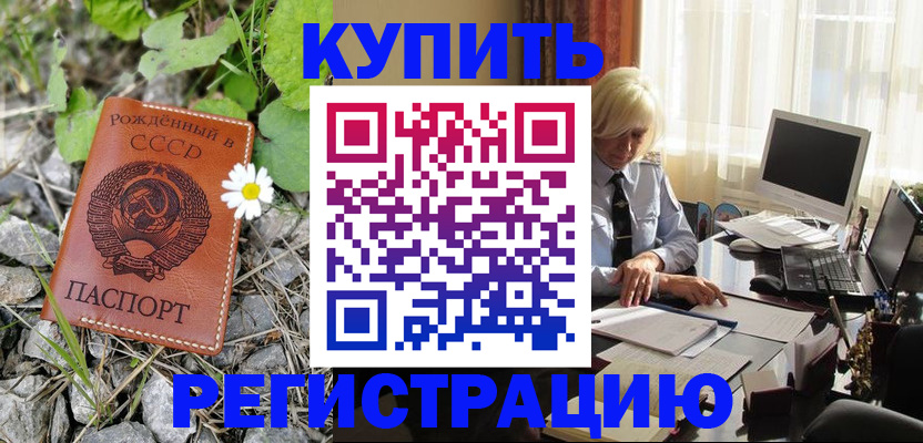 временная регистрация поиск в Мытищах